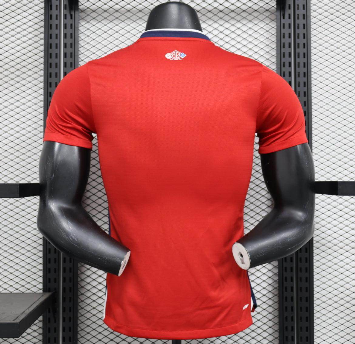 Lille 2024-2025 Home Kit - JerseyLegacy