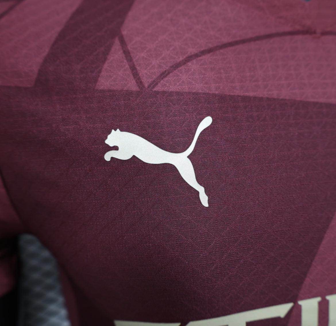 Machester City 2024-2025 Third Kit - JerseyLegacy