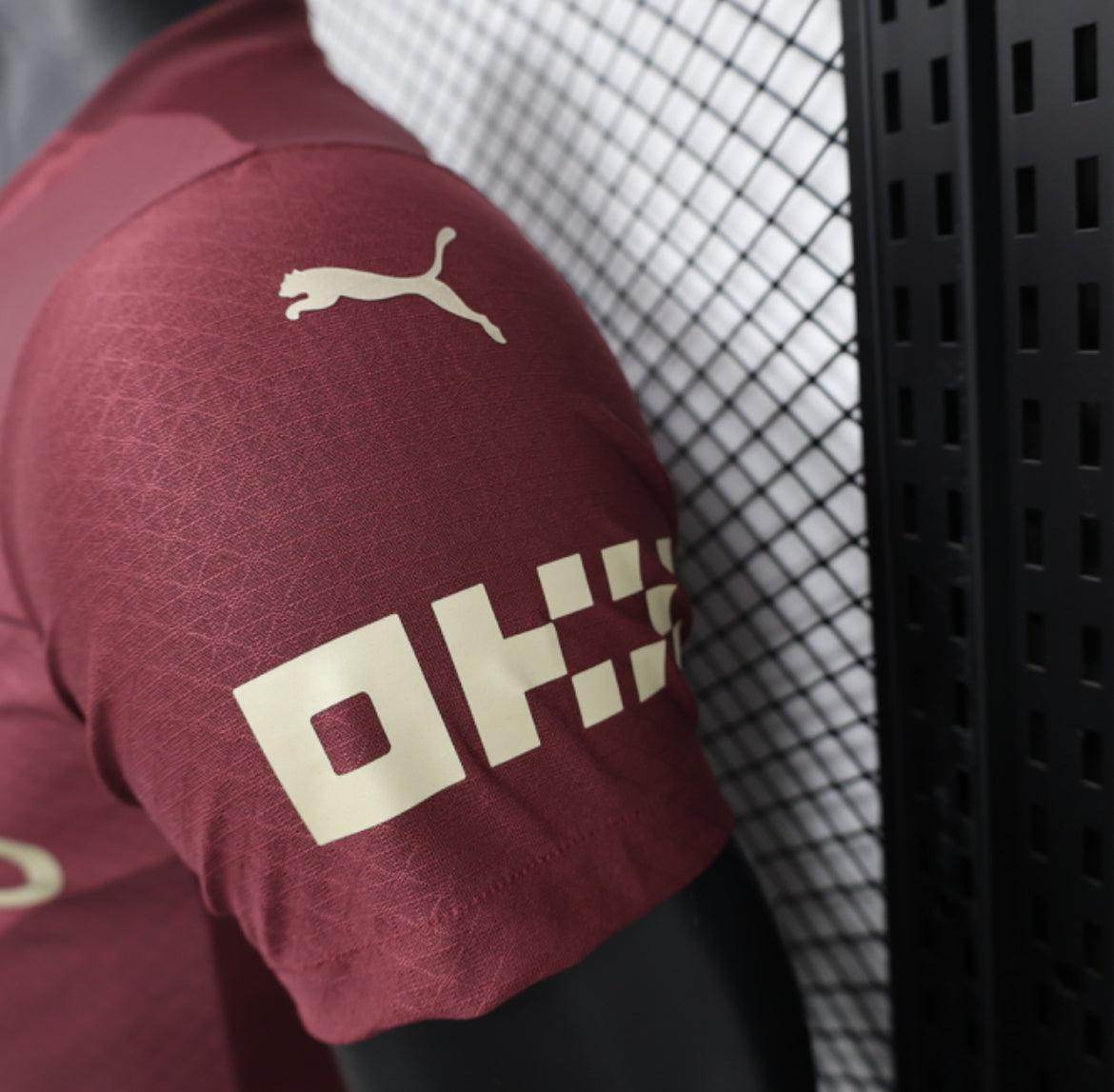Machester City 2024-2025 Third Kit - JerseyLegacy