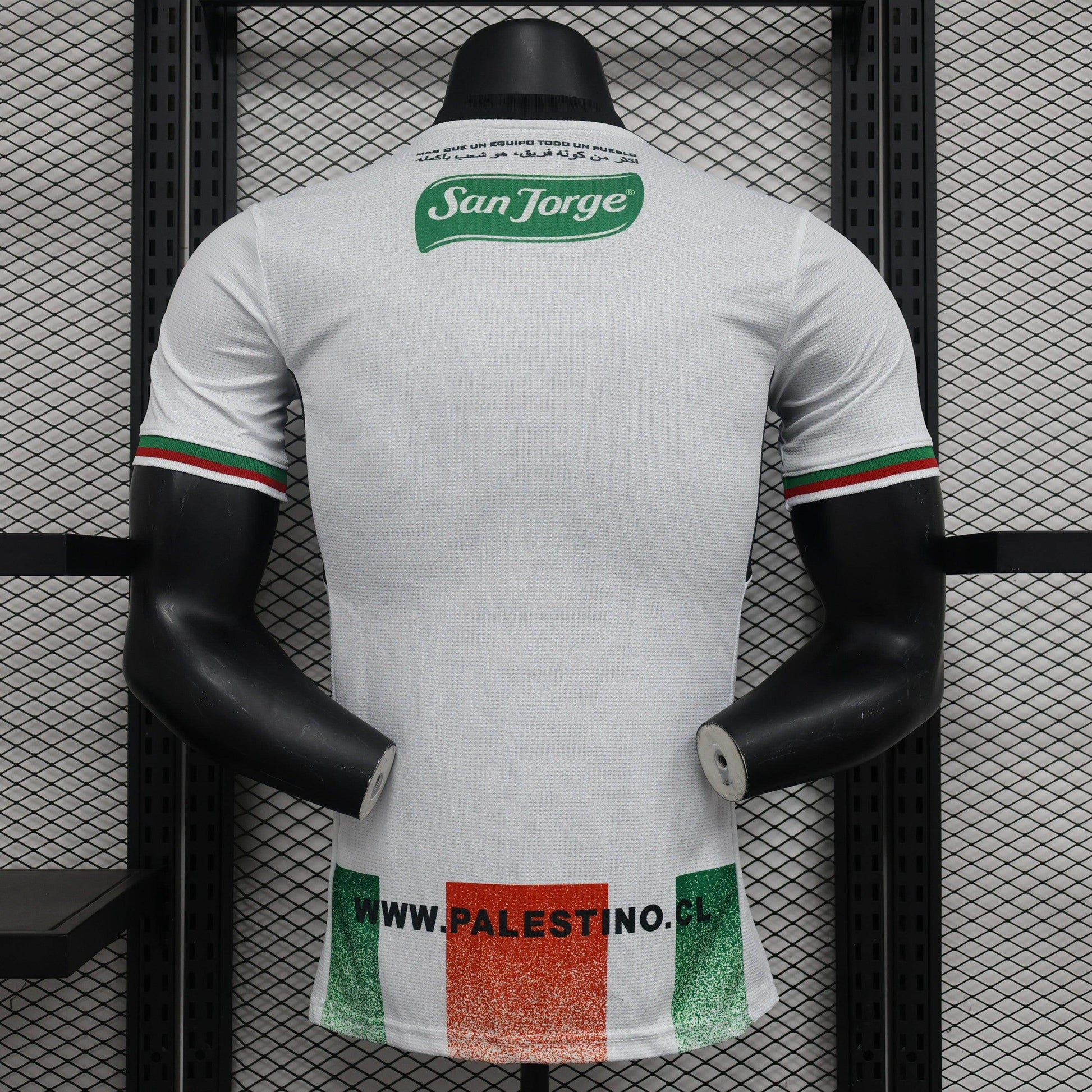 Palestine 2024-2025 Third Kit - JerseyLegacy