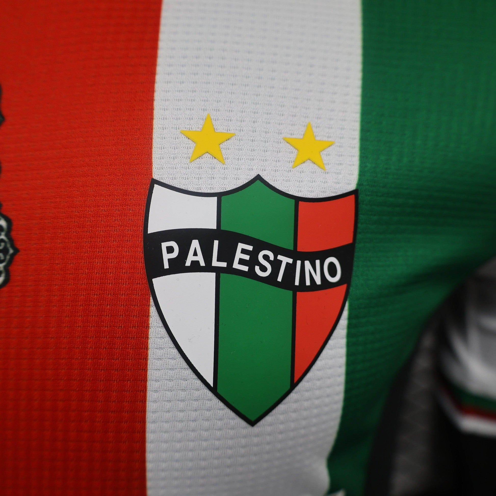 Palestine 2024-2025 Third Kit - JerseyLegacy