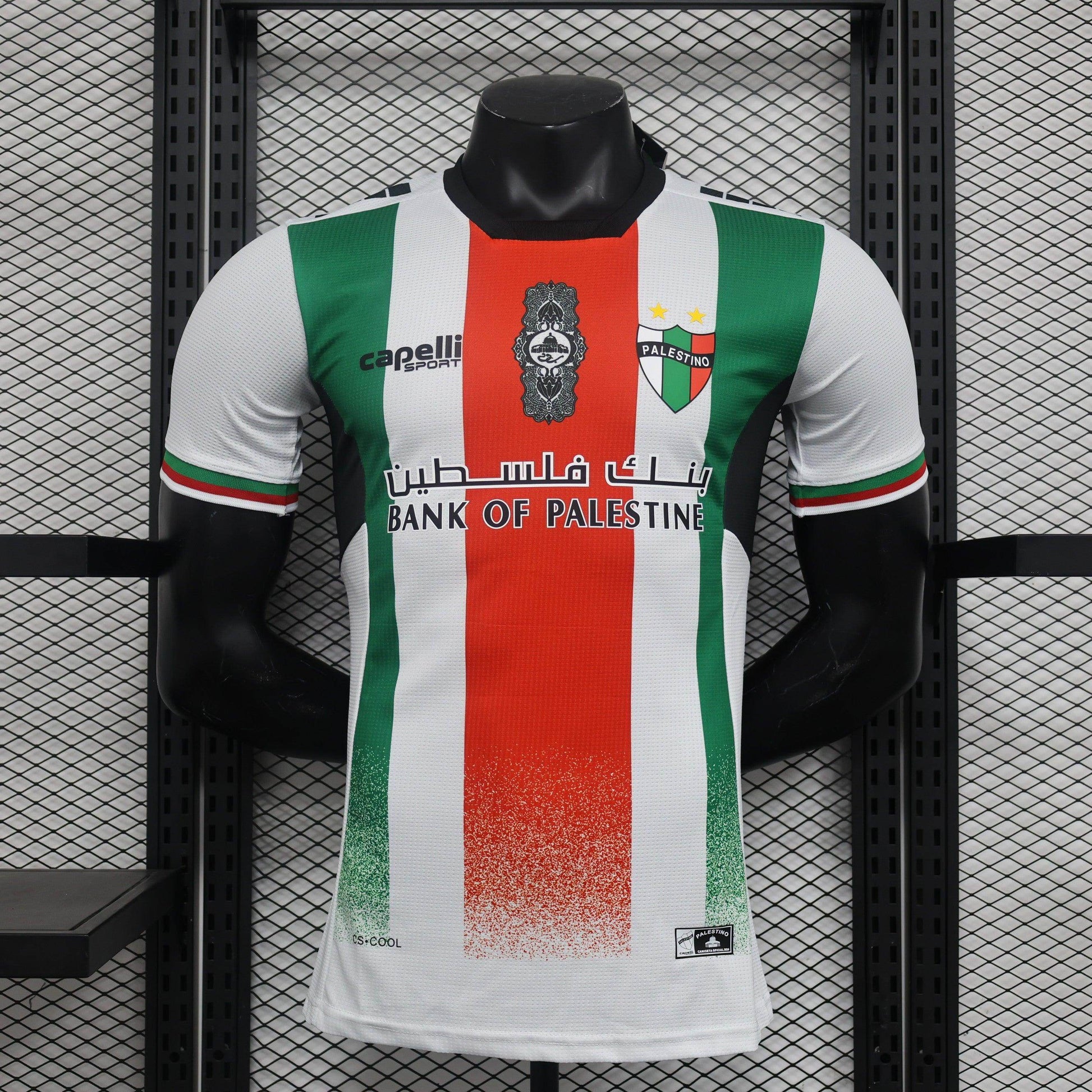 Palestine 2024-2025 Third Kit - JerseyLegacy