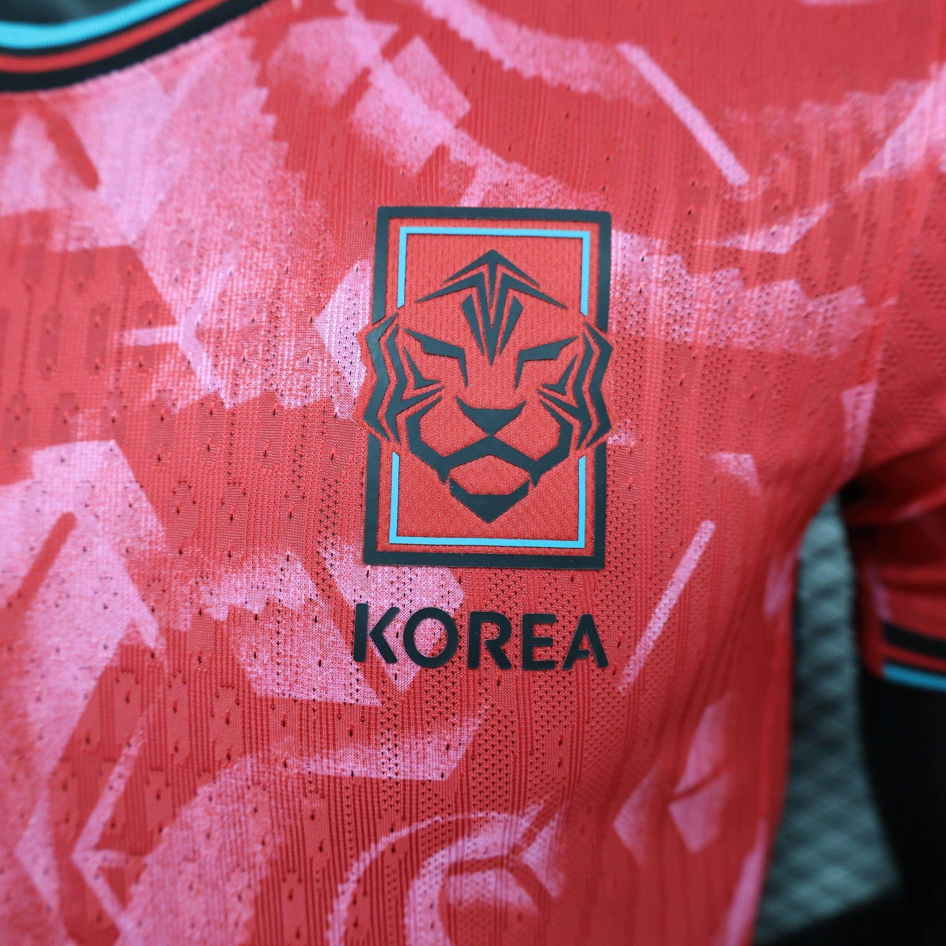 Korea 2024-2025 Home Kit - JerseyLegacy