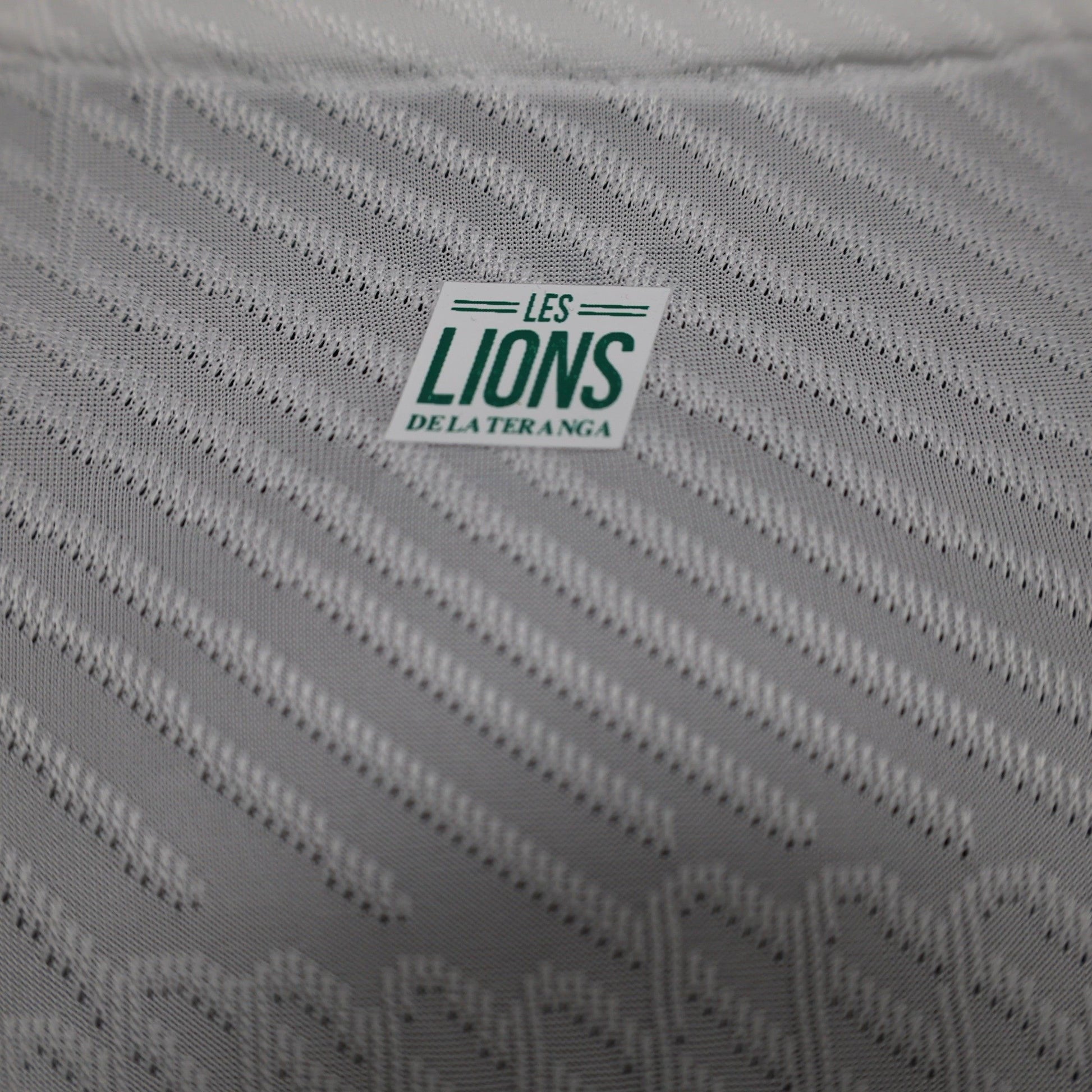 Senegal "Lion's Pride" Special Kit - JerseyLegacy