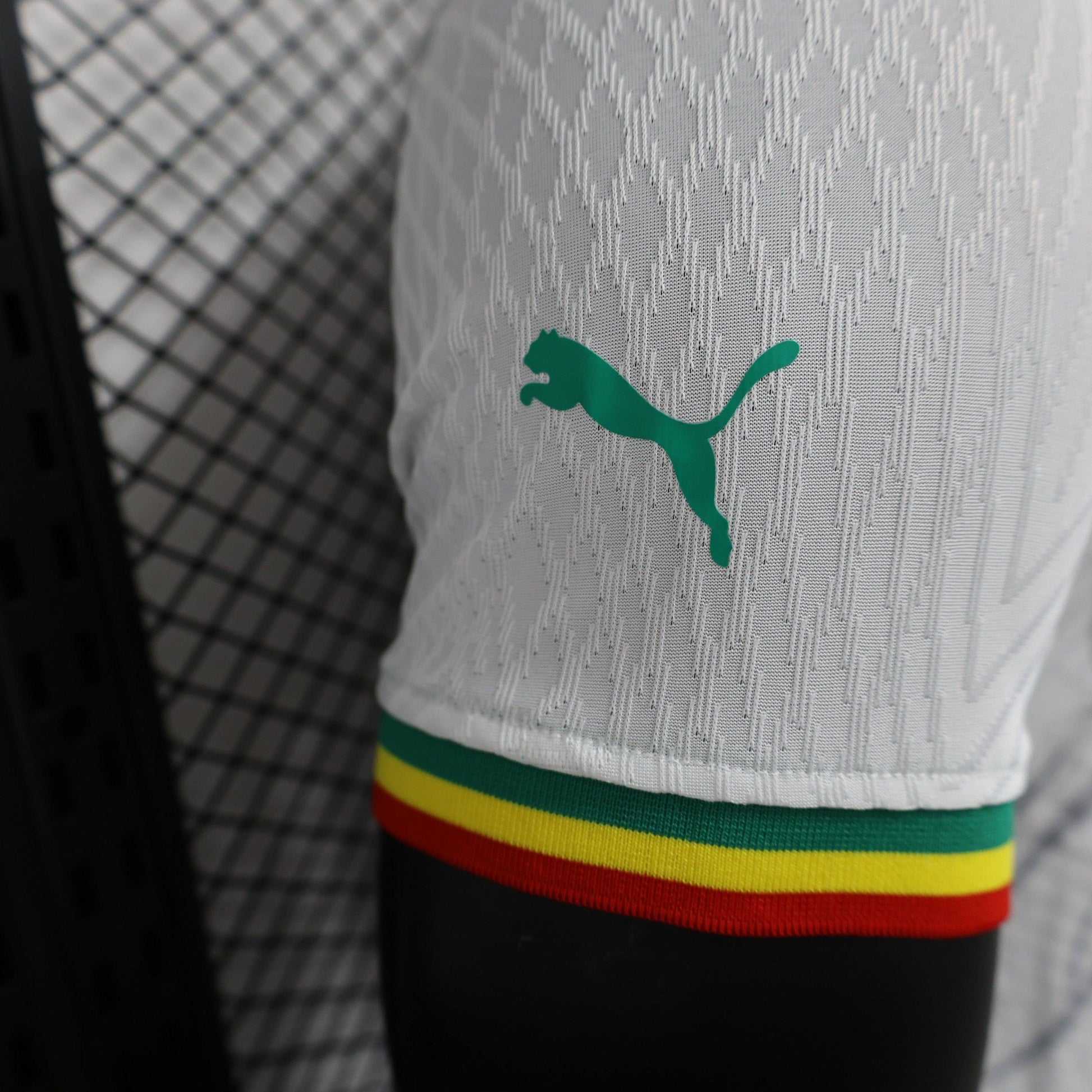 Senegal "Lion's Pride" Special Kit - JerseyLegacy