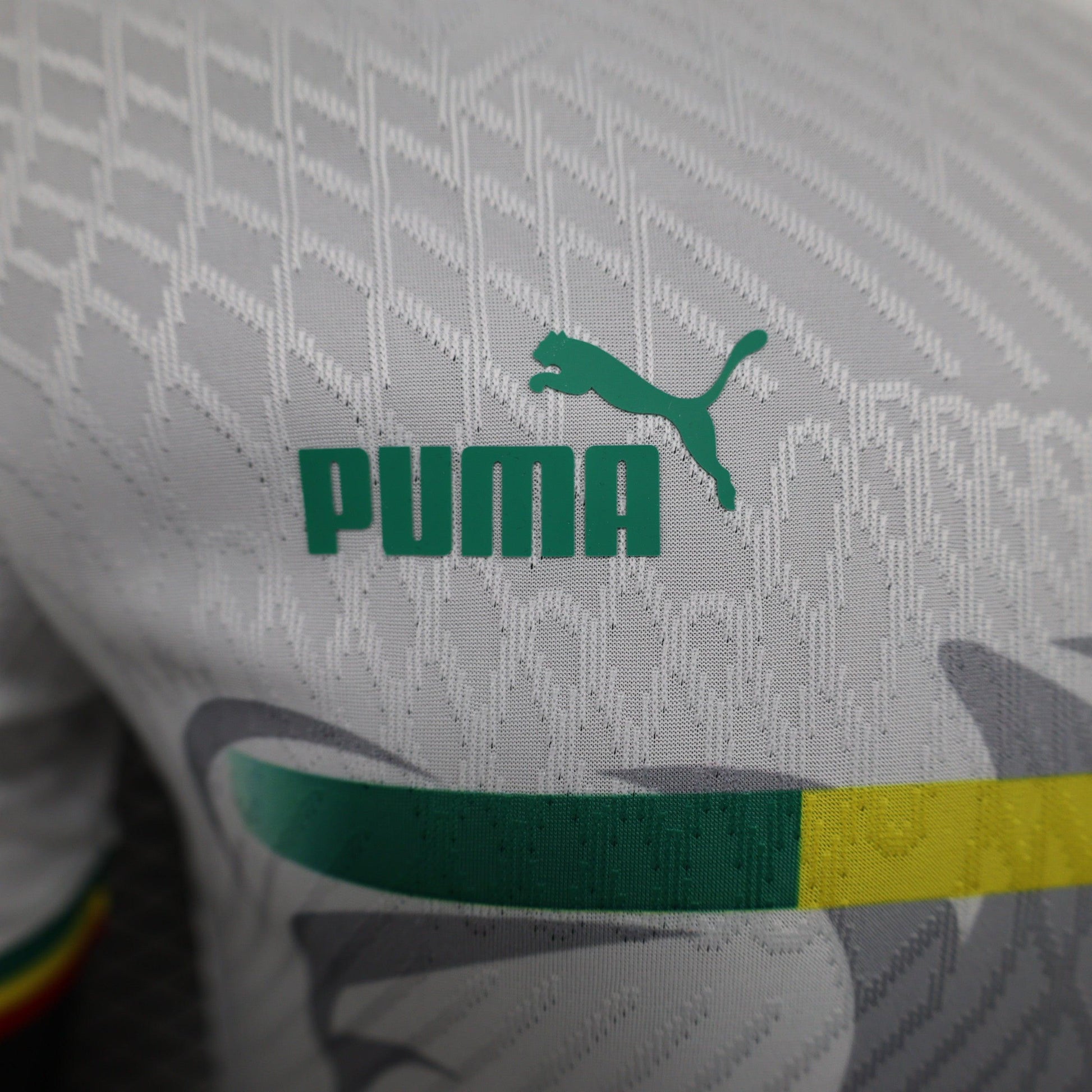 Senegal "Lion's Pride" Special Kit - JerseyLegacy