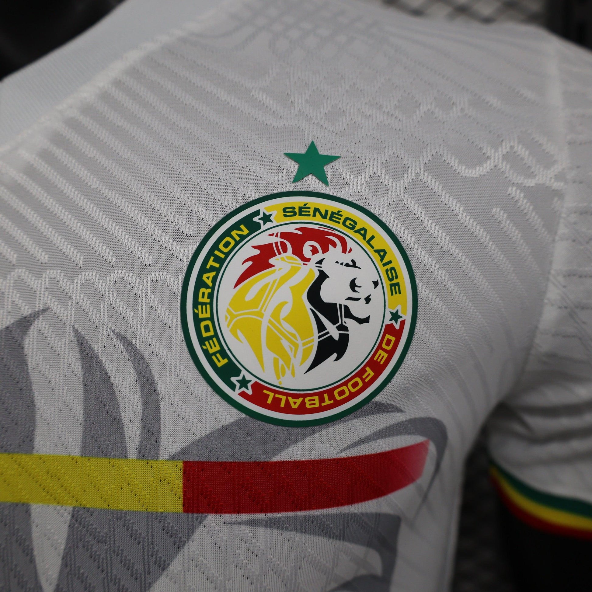 Senegal "Lion's Pride" Special Kit - JerseyLegacy