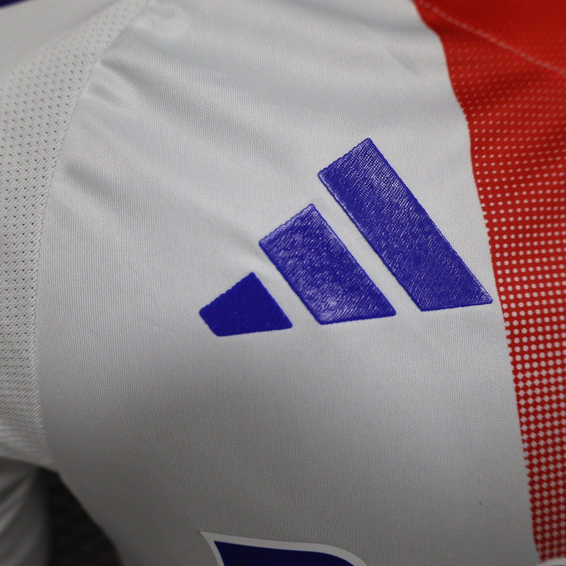 Olympique Lyonnais 2024-2025 Home Kit - JerseyLegacy