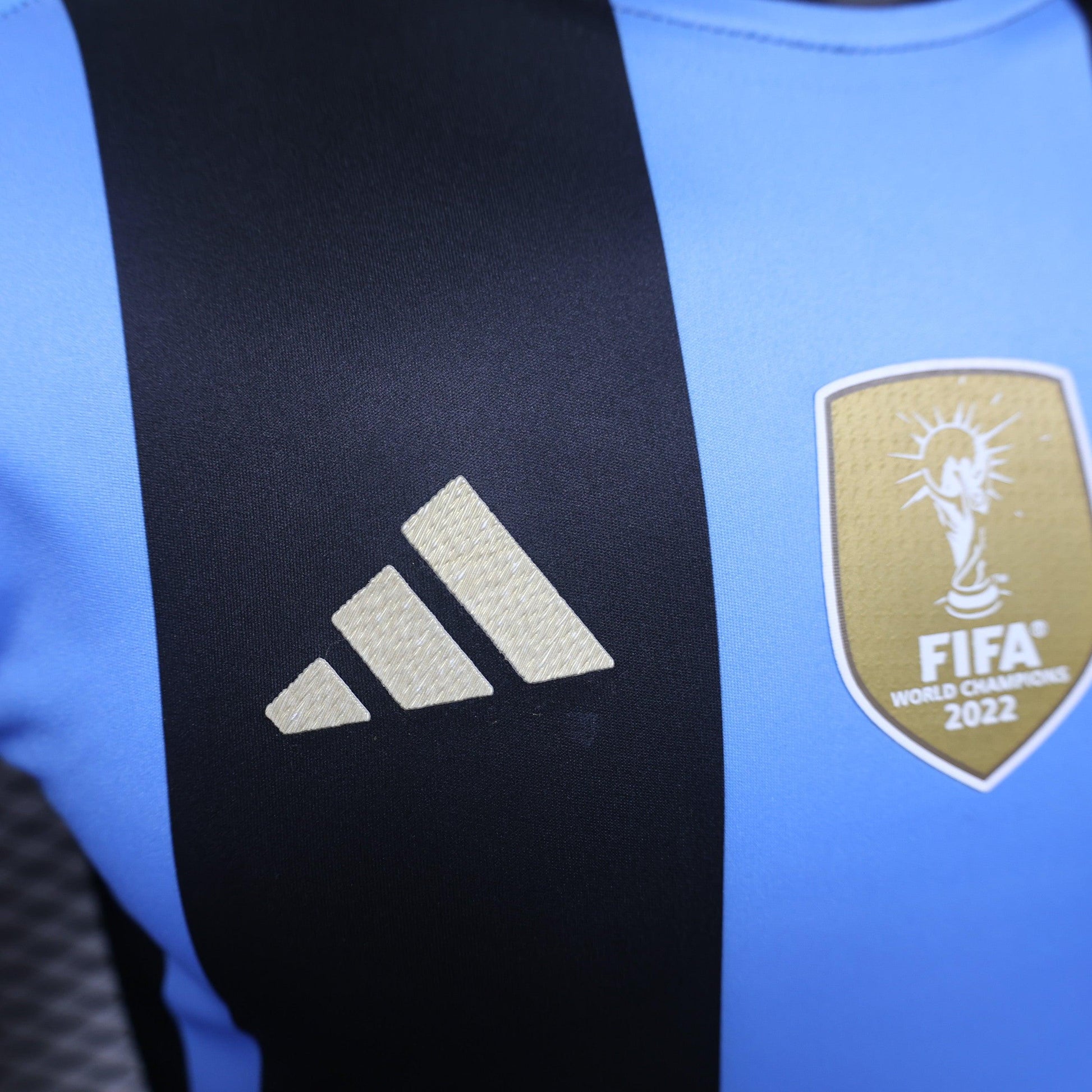 Argentina "Skyline Glory" Special Kit - JerseyLegacy