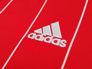 Wales 2015-2016 Home Kit - JerseyLegacy